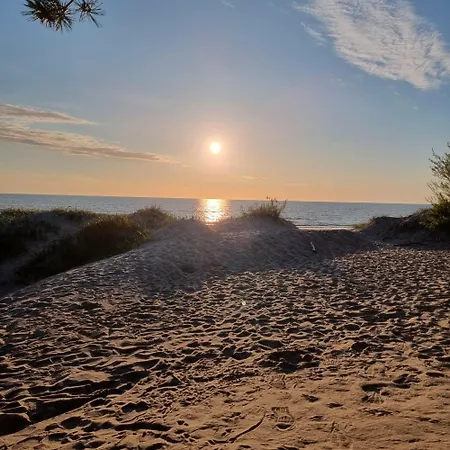 800 M To Sea - Kunigiskiai *